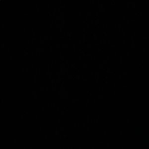 Meet your Posher, Mackenzie